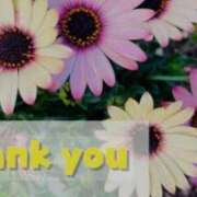 ヒメ日記 2025/07/02 21:28 投稿 まさみ 性腺熟女100％鶯谷（デリヘル市場）