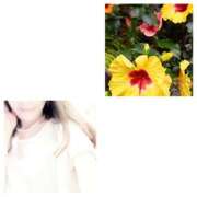 ヒメ日記 2025/07/11 14:17 投稿 しの 性腺熟女100％鶯谷（デリヘル市場）