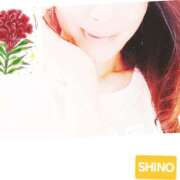 ヒメ日記 2025/09/14 13:10 投稿 しの 性腺熟女100％鶯谷（デリヘル市場）