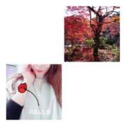 ヒメ日記 2025/11/23 15:16 投稿 しの 性腺熟女100％鶯谷（デリヘル市場）