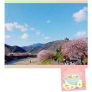 ヒメ日記 2026/02/28 13:18 投稿 しの 性腺熟女100％鶯谷（デリヘル市場）