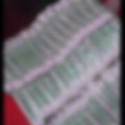 ヒメ日記 2025/07/17 12:11 投稿 さやか さくらん