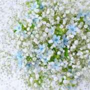 レミナ 大事なご報告＊。 京都人妻デリヘル倶楽部