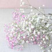 レミナ いい加減にしてね 京都人妻デリヘル倶楽部