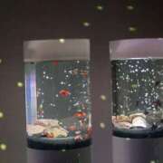 ヒメ日記 2026/04/30 15:48 投稿 レミナ 京都ホテヘル倶楽部