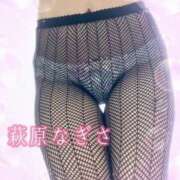 ヒメ日記 2025/03/11 12:48 投稿 萩原なぎさ 五十路マダム富山店(カサブランカグループ)