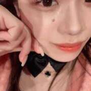 ヒメ日記 2025/03/15 15:50 投稿 リナ バニーコレクション千葉栄町店