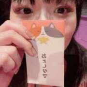 ヒメ日記 2025/05/02 11:42 投稿 リナ バニーコレクション千葉栄町店