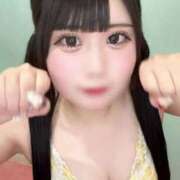 ヒメ日記 2024/12/23 20:50 投稿 みい 萌えカワ