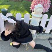 ヒメ日記 2025/01/17 14:03 投稿 みい 萌えカワ