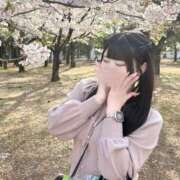 ヒメ日記 2025/04/10 14:05 投稿 みい 萌えカワ