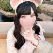 ヒメ日記 2025/04/29 14:04 投稿 みい 萌えカワ