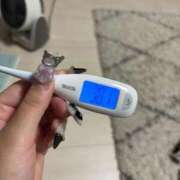 ヒメ日記 2025/09/05 11:22 投稿 みい 萌えカワ