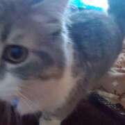 ヒメ日記 2025/02/12 23:39 投稿 なつき 多治見・土岐・春日井ちゃんこ