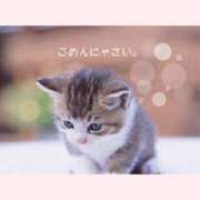 ヒメ日記 2025/11/22 06:42 投稿 ともみ 妻天 日本橋店