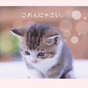 ともみ おはようごさいます 妻天 日本橋店