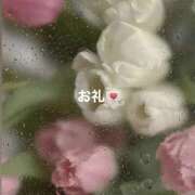 ヒメ日記 2025/02/06 06:05 投稿 れま ちゃんこ湘南平塚店