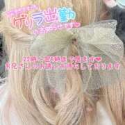 ヒメ日記 2025/03/12 14:25 投稿 あい ちゃんこ湘南平塚店