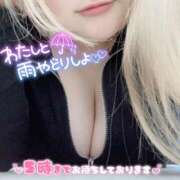 ヒメ日記 2025/03/12 22:15 投稿 あい ちゃんこ湘南平塚店