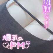 ヒメ日記 2025/03/20 19:15 投稿 あい ちゃんこ湘南平塚店