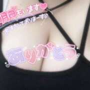 ヒメ日記 2025/03/29 04:25 投稿 あい ちゃんこ湘南平塚店