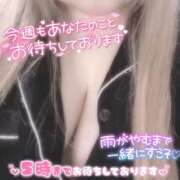 ヒメ日記 2025/03/29 17:15 投稿 あい ちゃんこ湘南平塚店