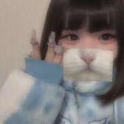 ヒメ日記 2025/02/11 17:25 投稿 いちご ちゃんこ湘南平塚店