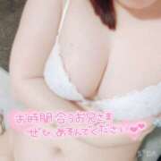 ヒメ日記 2025/06/24 17:25 投稿 いちご ちゃんこ湘南平塚店