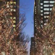 ヒメ日記 2025/02/05 18:00 投稿 愛沢みゆ アラフォーna奥様 アラフィフna奥様（埼玉ハレ系）