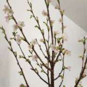 ヒメ日記 2025/02/10 14:00 投稿 愛沢みゆ アラフォーna奥様 アラフィフna奥様（埼玉ハレ系）