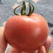 ヒメ日記 2025/02/19 07:00 投稿 愛沢みゆ アラフォーna奥様 アラフィフna奥様（埼玉ハレ系）