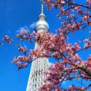 ヒメ日記 2025/03/11 11:30 投稿 愛沢みゆ アラフォーna奥様 アラフィフna奥様（埼玉ハレ系）