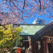 ヒメ日記 2025/03/14 07:00 投稿 愛沢みゆ アラフォーna奥様 アラフィフna奥様（埼玉ハレ系）