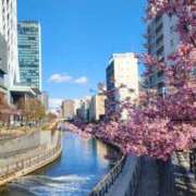 ヒメ日記 2025/03/21 07:01 投稿 愛沢みゆ アラフォーna奥様 アラフィフna奥様（埼玉ハレ系）