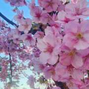 ヒメ日記 2025/03/22 07:00 投稿 愛沢みゆ アラフォーna奥様 アラフィフna奥様（埼玉ハレ系）