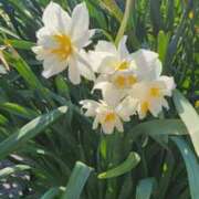 ヒメ日記 2025/03/23 07:01 投稿 愛沢みゆ アラフォーna奥様 アラフィフna奥様（埼玉ハレ系）