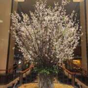 ヒメ日記 2025/03/27 07:01 投稿 愛沢みゆ アラフォーna奥様 アラフィフna奥様（埼玉ハレ系）