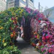 ヒメ日記 2025/03/31 07:00 投稿 愛沢みゆ アラフォーna奥様 アラフィフna奥様（埼玉ハレ系）