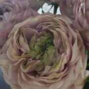 ヒメ日記 2025/04/07 19:15 投稿 愛沢みゆ アラフォーna奥様 アラフィフna奥様（埼玉ハレ系）