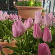 ヒメ日記 2025/04/27 07:01 投稿 愛沢みゆ アラフォーna奥様 アラフィフna奥様（埼玉ハレ系）