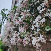 ヒメ日記 2025/05/02 06:30 投稿 愛沢みゆ アラフォーna奥様 アラフィフna奥様（埼玉ハレ系）