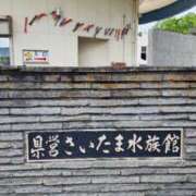 ヒメ日記 2025/05/09 07:00 投稿 愛沢みゆ アラフォーna奥様 アラフィフna奥様（埼玉ハレ系）