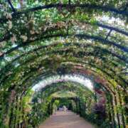 ヒメ日記 2025/05/18 12:06 投稿 愛沢みゆ アラフォーna奥様 アラフィフna奥様（埼玉ハレ系）