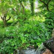 ヒメ日記 2025/05/28 19:01 投稿 愛沢みゆ アラフォーna奥様 アラフィフna奥様（埼玉ハレ系）