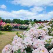 ヒメ日記 2025/05/30 07:00 投稿 愛沢みゆ アラフォーna奥様 アラフィフna奥様（埼玉ハレ系）