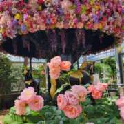 ヒメ日記 2025/06/01 07:00 投稿 愛沢みゆ アラフォーna奥様 アラフィフna奥様（埼玉ハレ系）