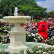 ヒメ日記 2025/06/09 07:00 投稿 愛沢みゆ アラフォーna奥様 アラフィフna奥様（埼玉ハレ系）