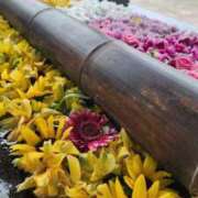 ヒメ日記 2025/06/23 07:00 投稿 愛沢みゆ アラフォーna奥様 アラフィフna奥様（埼玉ハレ系）