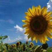 ヒメ日記 2025/07/14 12:05 投稿 愛沢みゆ アラフォーna奥様 アラフィフna奥様（埼玉ハレ系）