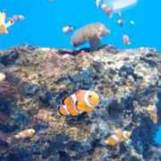 ヒメ日記 2025/07/17 07:00 投稿 愛沢みゆ アラフォーna奥様 アラフィフna奥様（埼玉ハレ系）